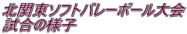 北関東ソフトバレーボール大会 試合の様子